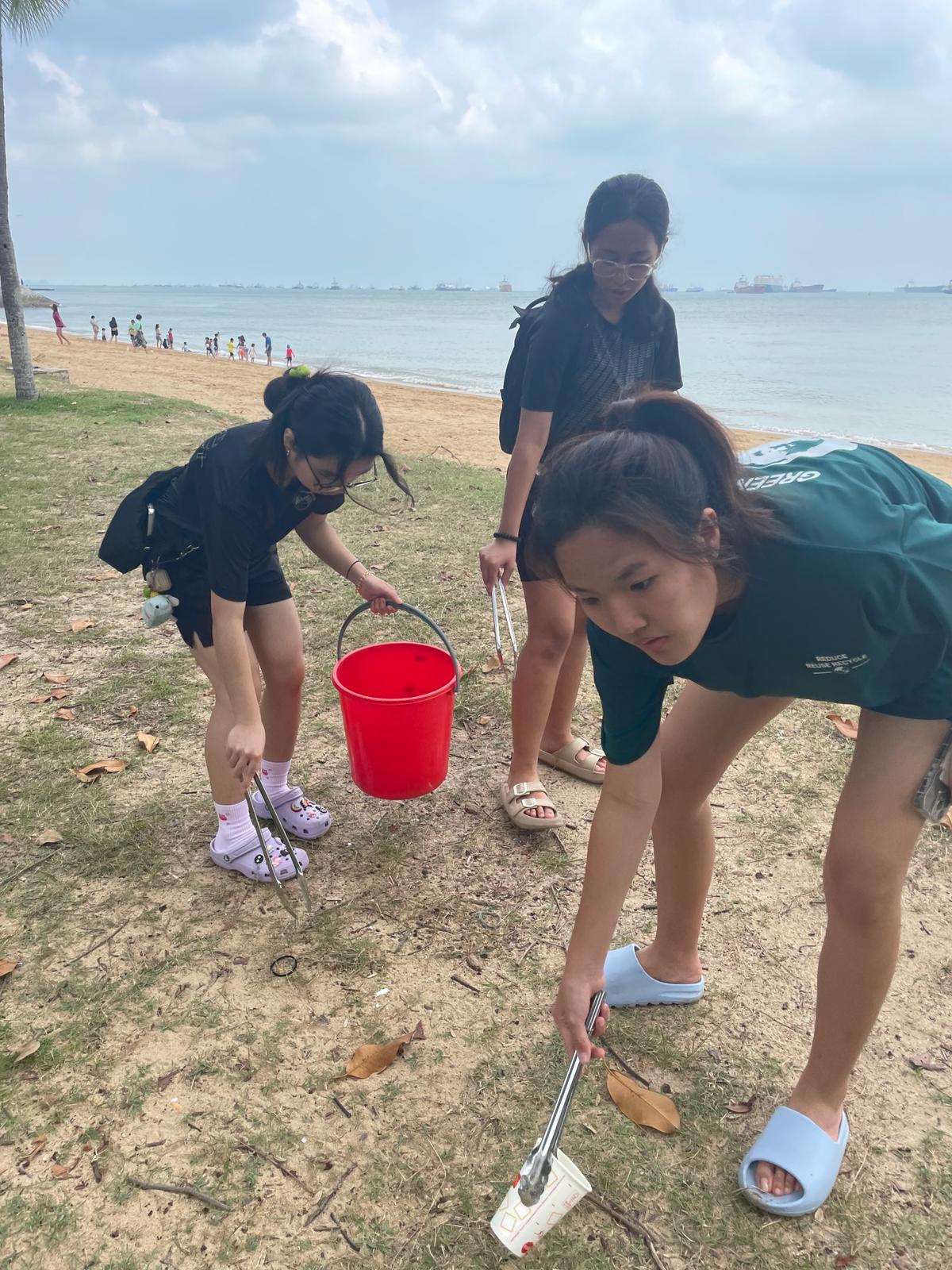 Beach Cleanup 3