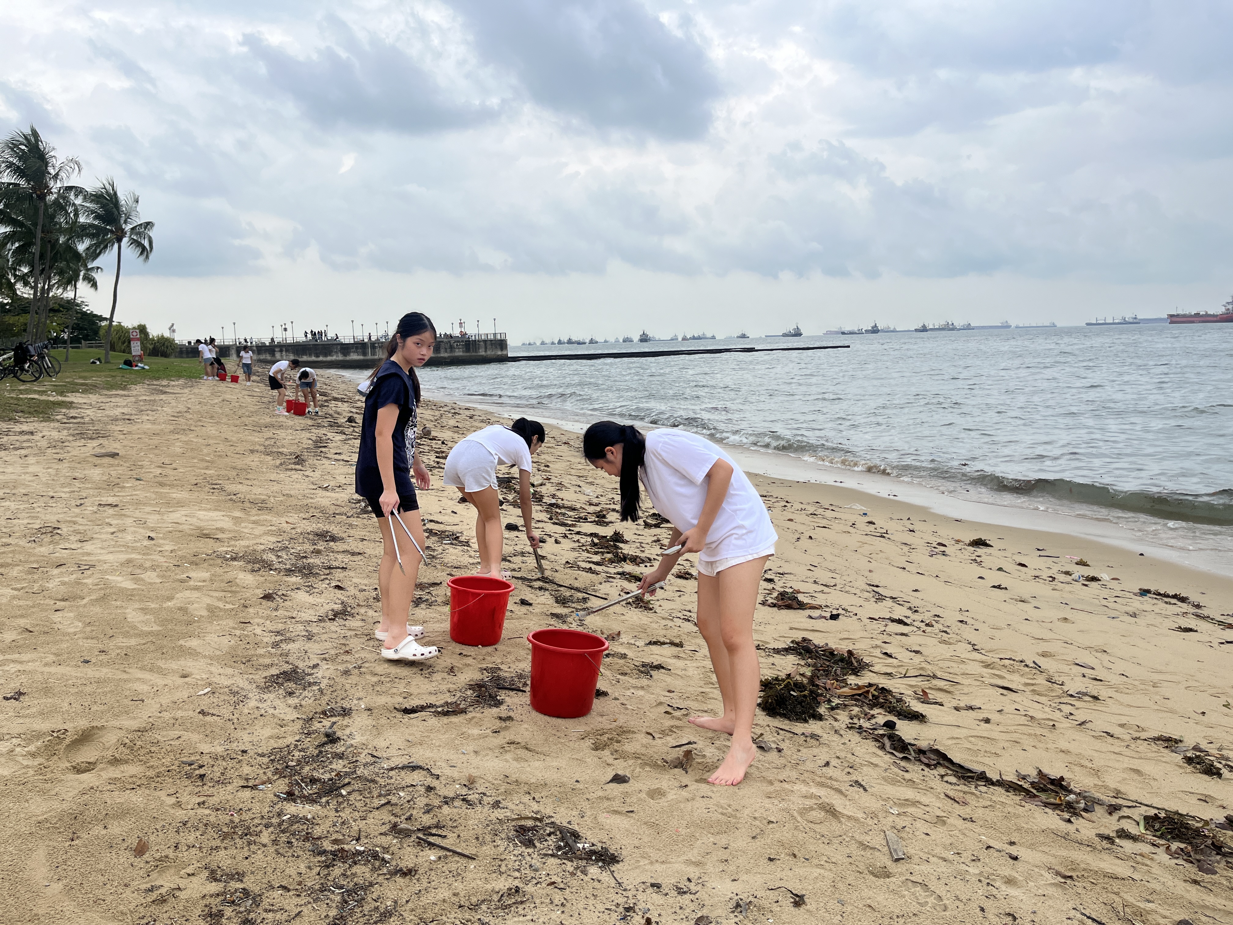 3 Volunteers cleaning the beach dilligently